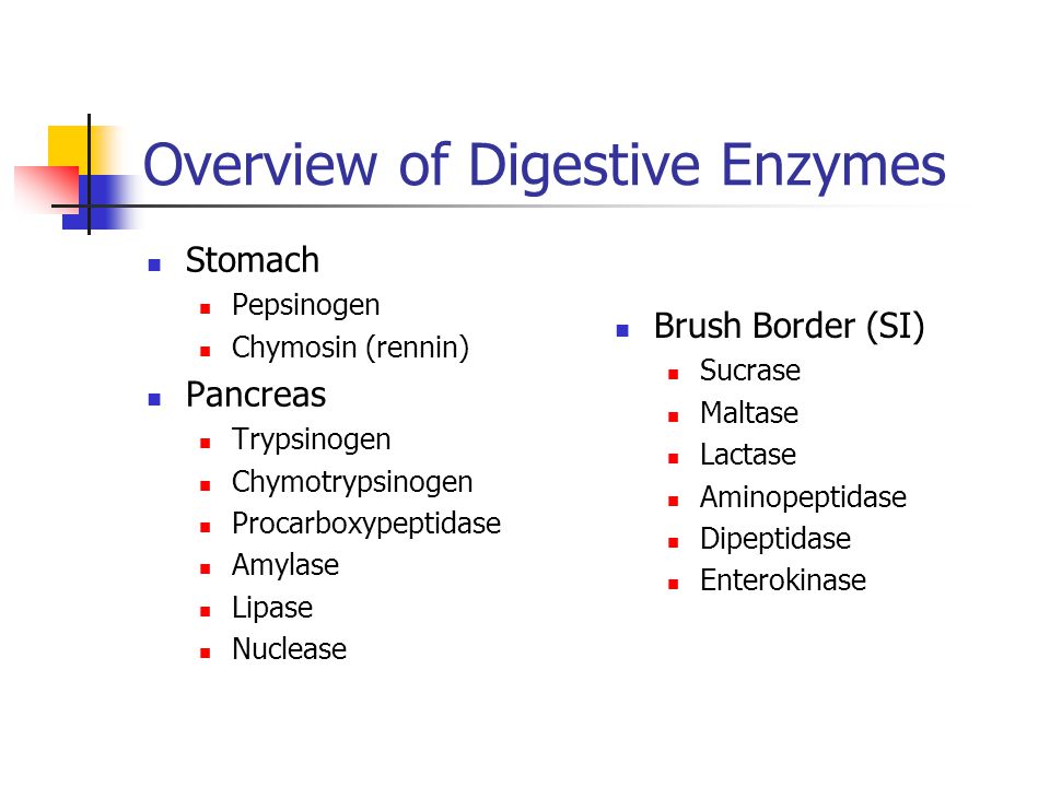 An overview of enzymes